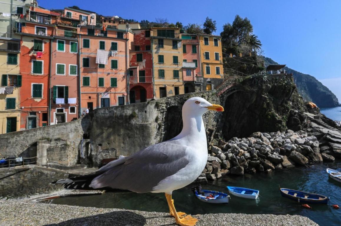 Terra Prime Suite Riomaggiore Exteriör bild